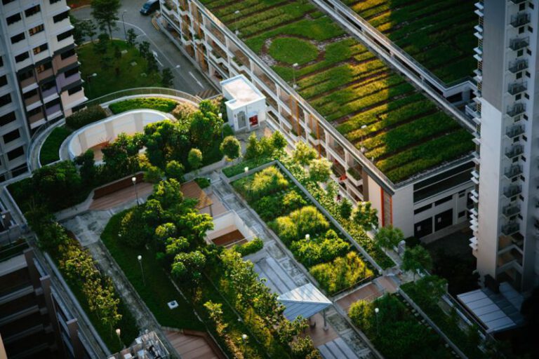 Urban Green Spaces: Cities Reimagined